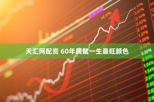 天汇网配资 60年属鼠一生最旺颜色