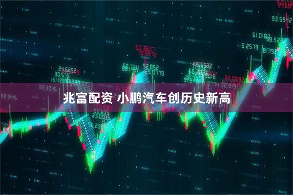 兆富配资 小鹏汽车创历史新高